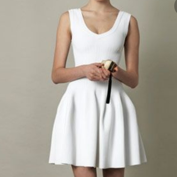 Alaia Dresses & Skirts - Alaia diamant fit & flare dress